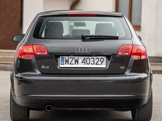 Audi A3 cena 22900 przebieg: 237000, rok produkcji 2006 z Bełchatów małe 211